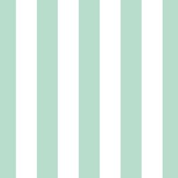Play Stripe in Mint