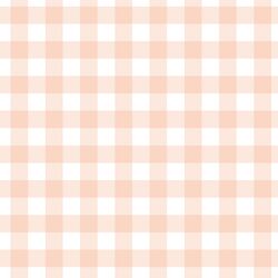 Gingham in Peaches