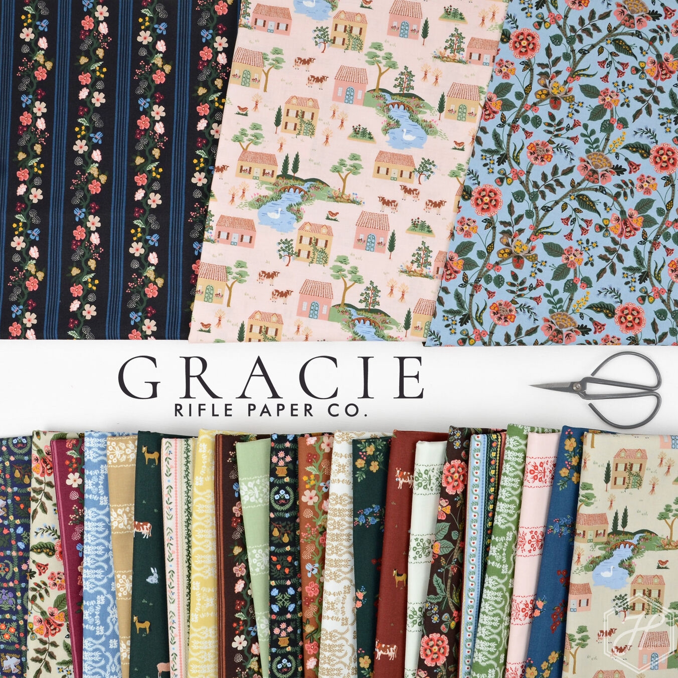 Gracie Poster Image