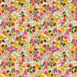 Dahlias in Multi