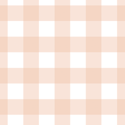 Large Gingham in Apricot