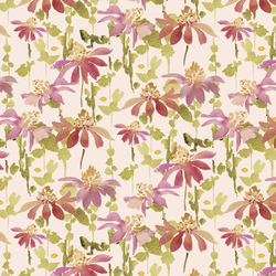 Coneflower in Light Peach