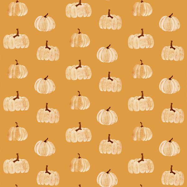 Painted Pumpkins in Maize