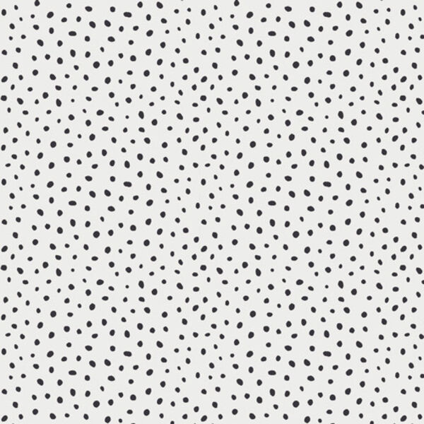 Scattered Pebbles in Stone