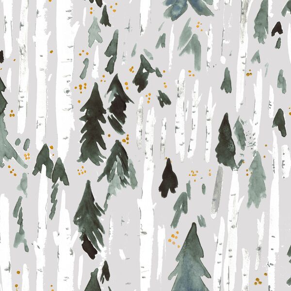 Birch and Pine in Gray