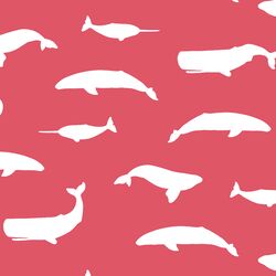 Whale Silhouette in Passion