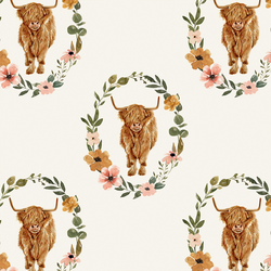 Highland Cow in Cream