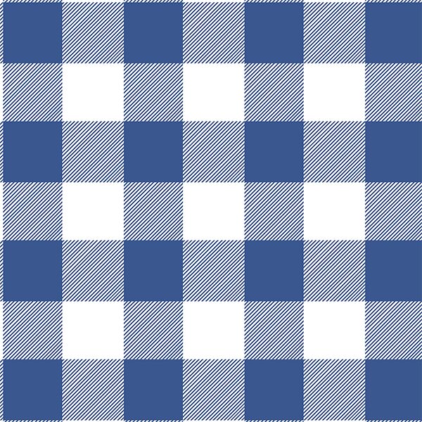 Buffalo Plaid in Blue Jay