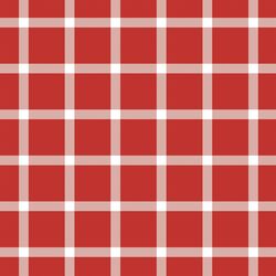 Large Liberty Gingham in Firecracker Red