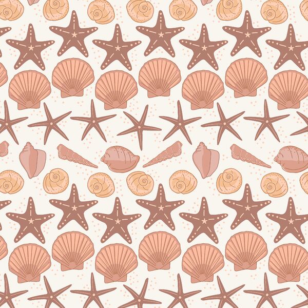 Shell Collection in Atlantic