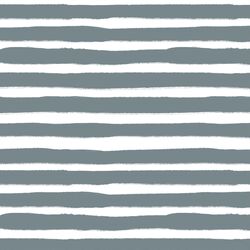 Large Painted Stripe in Spring Rain