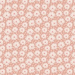 Daisies in Confection