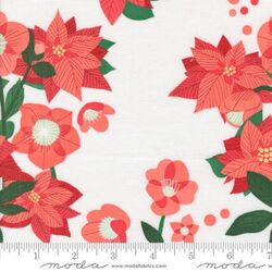 Poinsettia in Snow