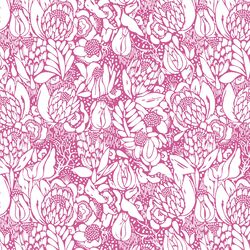 Little Protea in Petunia