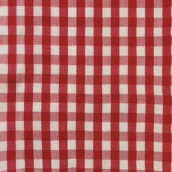 Gingham in Tomato