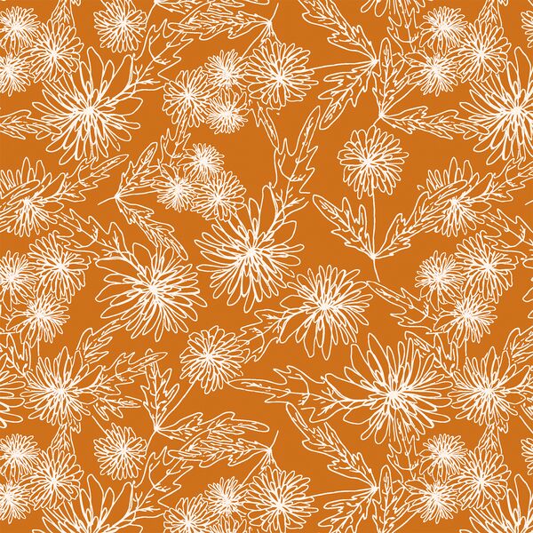 Chrysanthemum Sketch in Zinnia