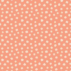 Daisy in Coral