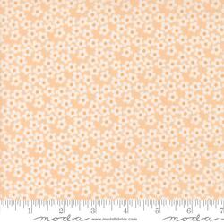 Flowers in Peach
