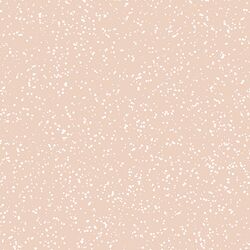 Stardust in Shell