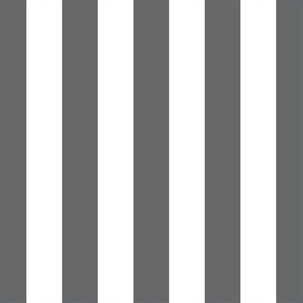 Play Stripe in Charcoal