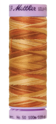 Iced Coffee (9075-9853) - Silk Finish Cotton Multi 50wt - 109 Yards