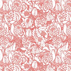 Little Protea in Salmon