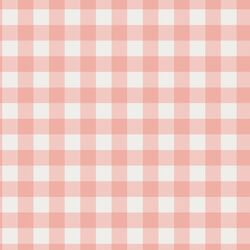Gingham in Spring Pink