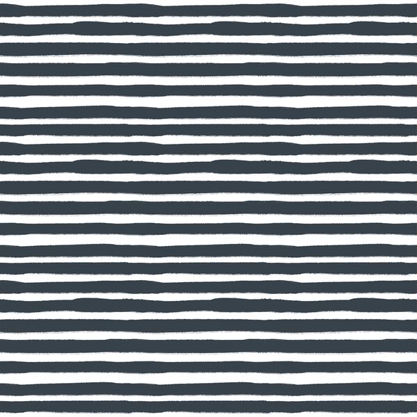 Painted Stripe in Midnight Sky