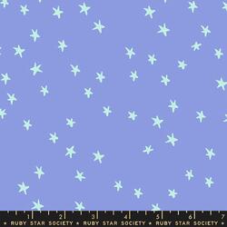 Starry in Dusk