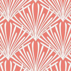 Large Shells in Red Coral