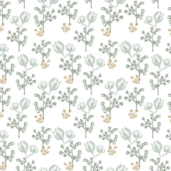 Woodland Botanicals in Pine Forest