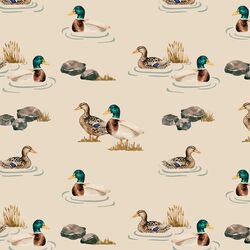 Waterfowl in Wild