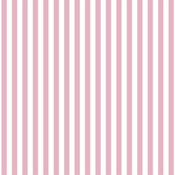 Dress Stripe in Carnation