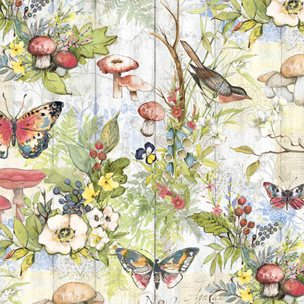 Birds and Butterflies in Multi