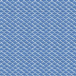 Scallop in Nautical