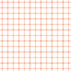 Summer Gingham Check in Peachy