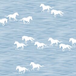 Wild Horses in Sky