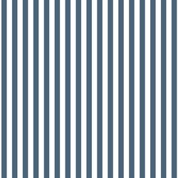 Dress Stripe in Twilight