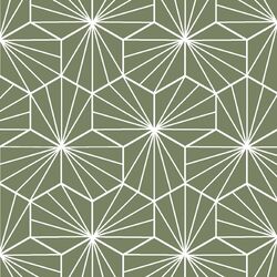 Radiate in Olive