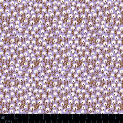 Seedling Drift in Evening Crocus