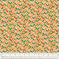Flowerbed in Salmon