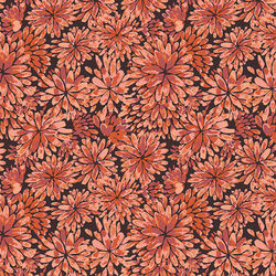 Sunset Blooms in Sunset