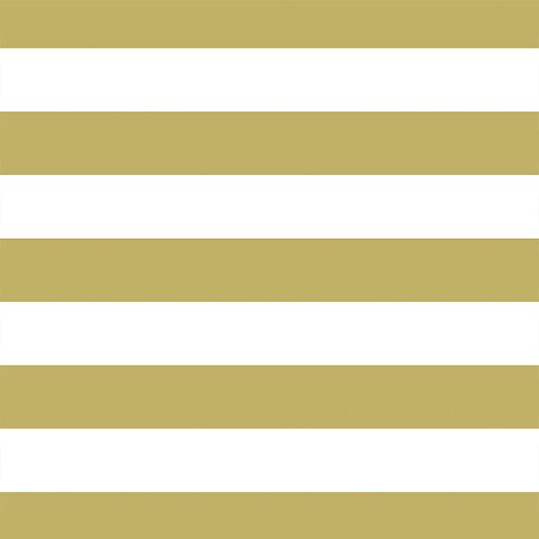 Horizontal Play Stripe in Brass