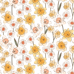 Daffodil Fields in Spring