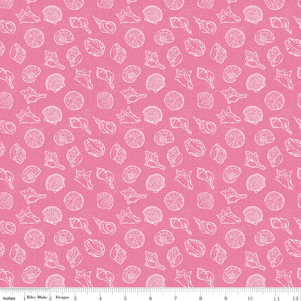Shells in Pink