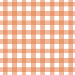 Gingham in Papaya
