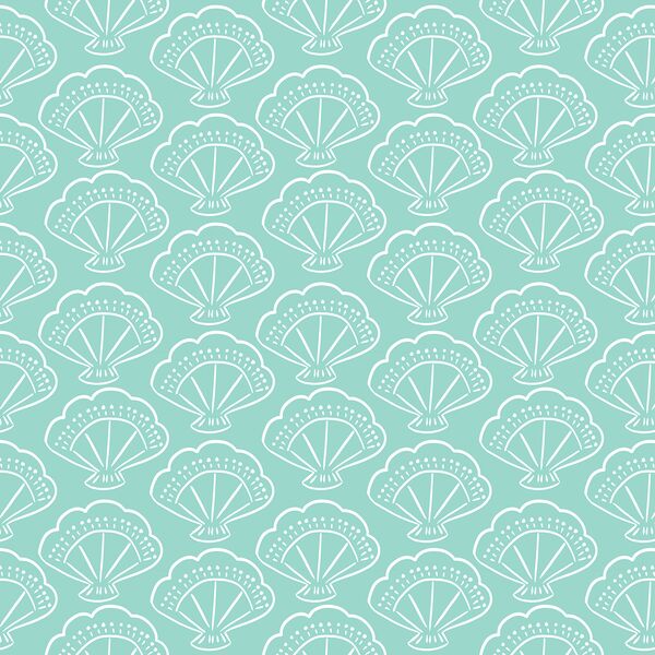 Shells in Splash