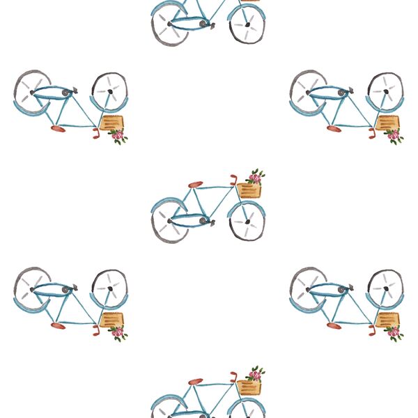 Des Velo in Paris