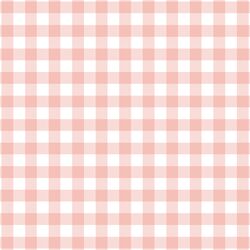 Gingham Check in Pink Peach