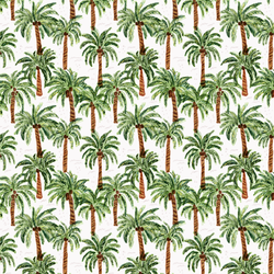 Little Palm Paradise in Coconut